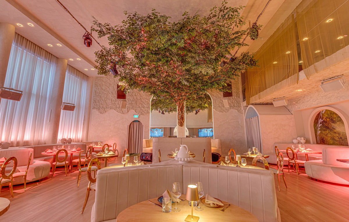 ALIA — the room set for a corporate day